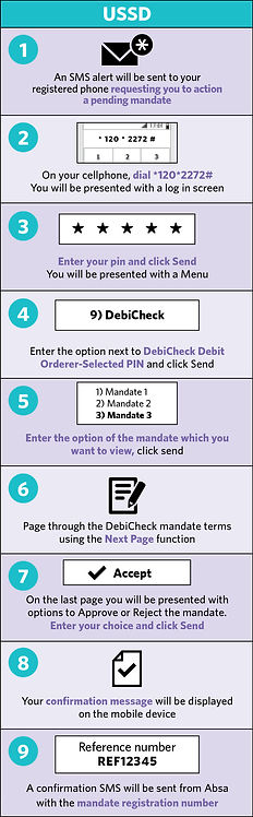 USSD Debicheck guide