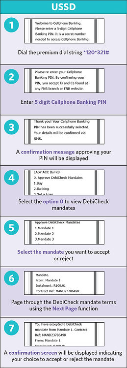 USSD Debicheck guide